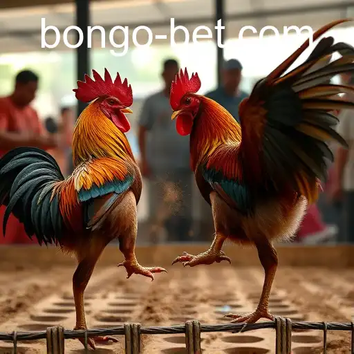 The Rise of Online Sabong and the Role of Bongobet